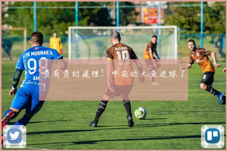 贵有贵的道理！申花的大鱼进球了！