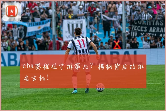 cba赛程辽宁排第几?揭秘背后的排名玄机!