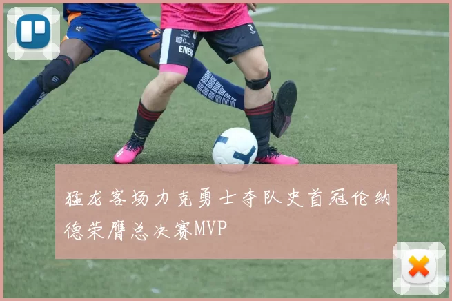 猛龙客场力克勇士夺队史首冠伦纳德荣膺总决赛MVP