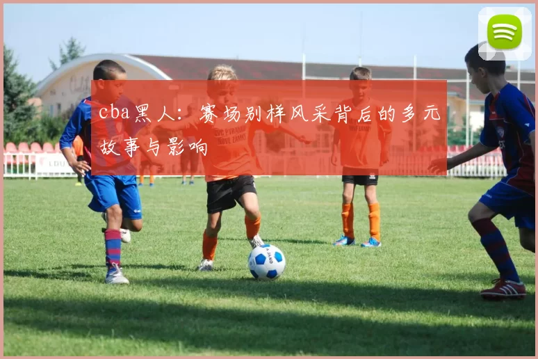 cba黑人：赛场别样风采背后的多元故事与影响