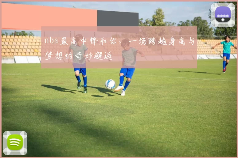 nba最高中锋和你，一场跨越身高与梦想的奇妙邂逅