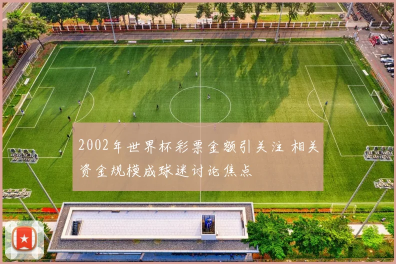2002年世界杯彩票金额引关注 相关资金规模成球迷讨论焦点