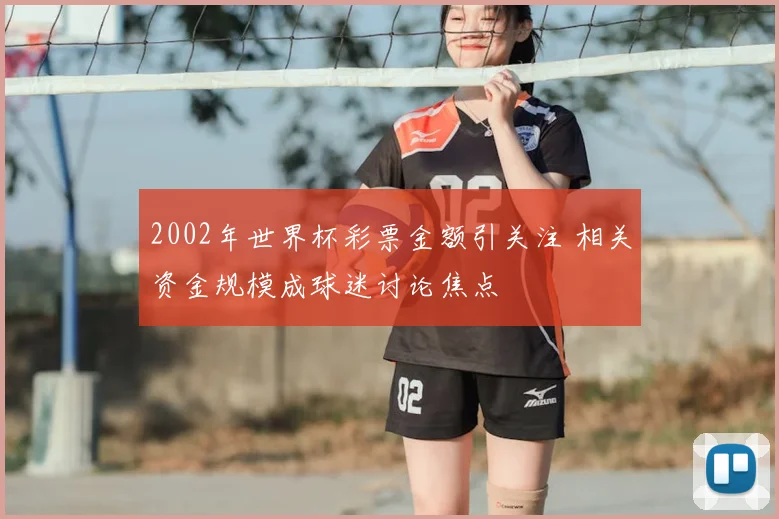 2002年世界杯彩票金额引关注 相关资金规模成球迷讨论焦点
