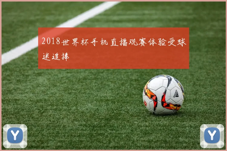 2018世界杯手机直播观赛体验受球迷追捧