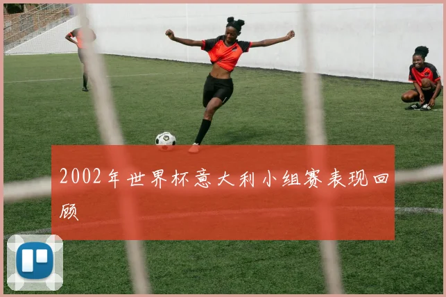 2002年世界杯意大利小组赛表现回顾
